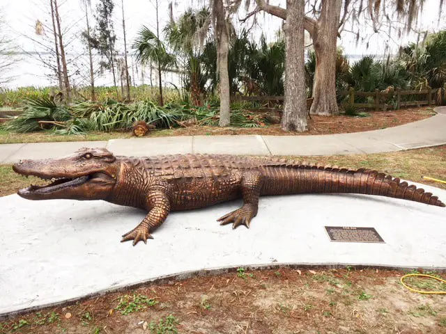 Mount Dora Florida